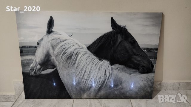 Светеща картина с LED осветление - бял и черен кон , снимка 2 - Картини - 40992947