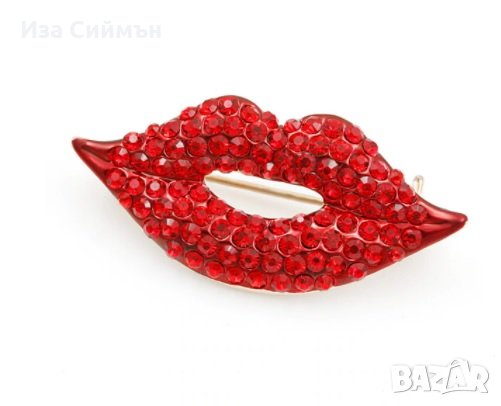 Различни видове брошки, снимка 6 - Други - 34211867