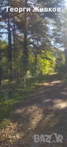 Парцел, снимка 9 - Парцели - 47712585