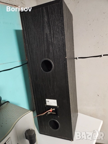 Тонколони Elac EL 110 II, снимка 9 - Тонколони - 52827550