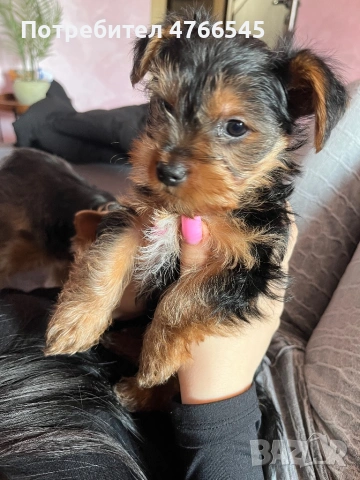 Активно и весело момченце на 2 месеца. Готово за ново семейство.