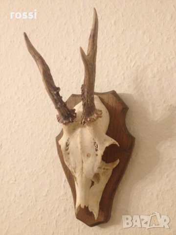 Немски трофей сръндак. Документ., снимка 2 - Други ценни предмети - 35962994