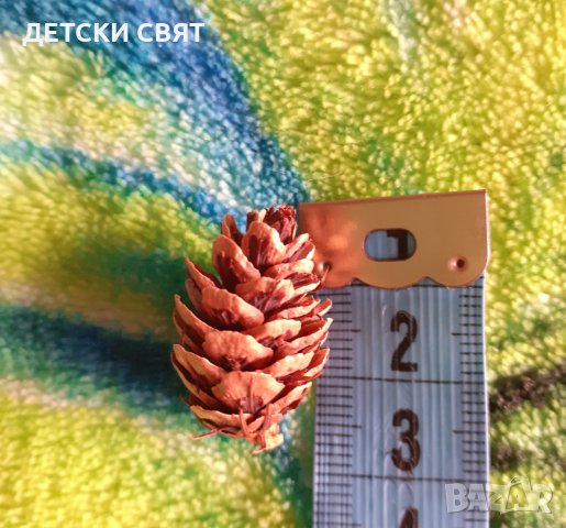 Мини шишарки - 50 бр., снимка 2 - Декорация за дома - 42407454