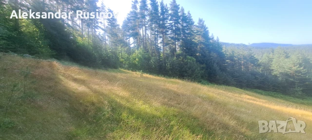 Продава се земя в Родопите, снимка 3 - Земеделска земя - 51240521