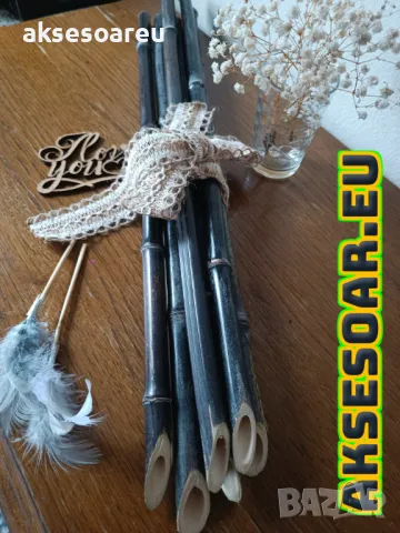 100 бр. нови висококачествени семена Студоустойчив черен бамбук от САЩ за Декорация дома грасдината, снимка 16 - Сортови семена и луковици - 49812622