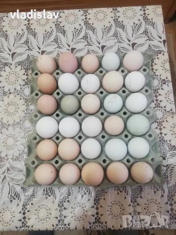 домашни пресни яйца