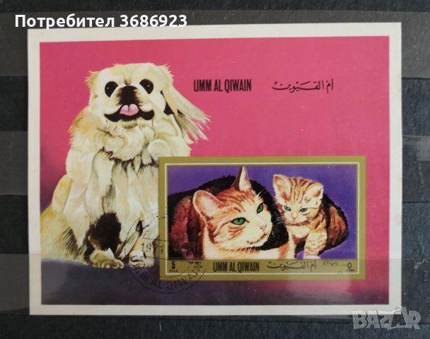 Ум ал-куейн 1972 Кучета и котки. Блок марка.
