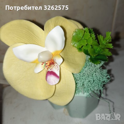 Декорации в керамични кашпи със скандинавски мъх и сапунени цветя , снимка 10 - Декорация за дома - 44371647