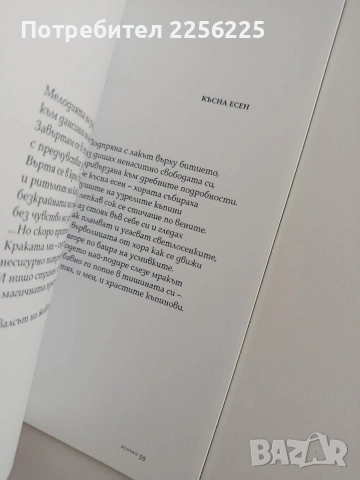 Възел - Божана Апостолова, снимка 3 - Художествена литература - 53711545