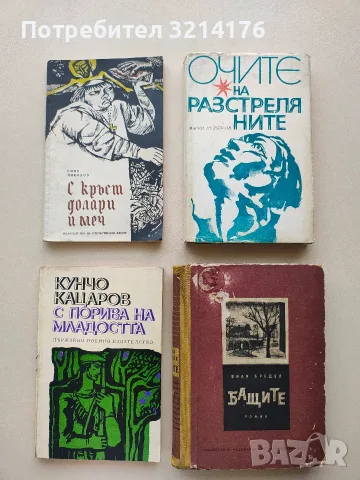 С кръст, долари и меч - Емил Николов (1971), снимка 1 - Българска литература - 55818170