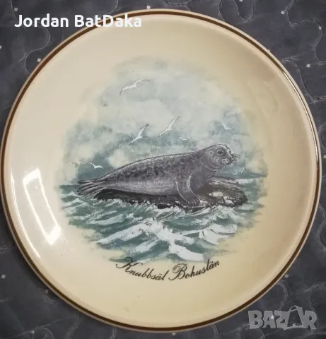 Чиния декорация 