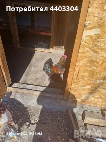 Петли , снимка 3 - други­ - 53854136