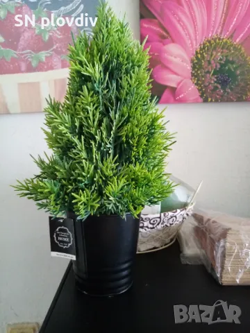 Декорация-туя