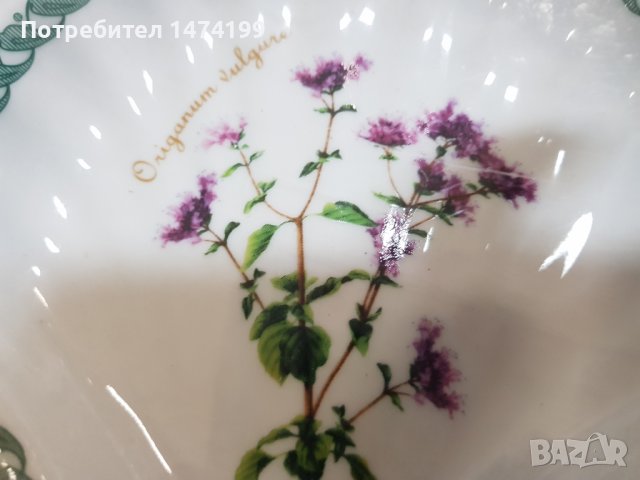 Порцеланов комплект Ботаник, снимка 3 - Други - 39340074