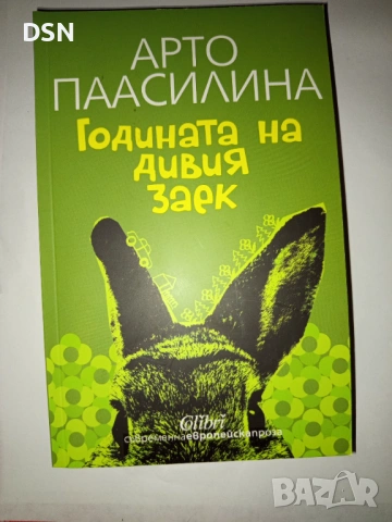"Годината на Дивия Заек"