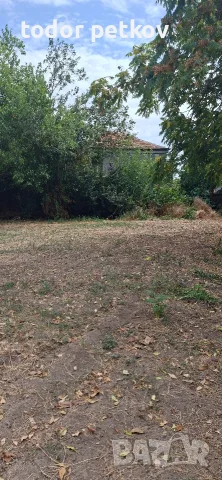 Дворно място в село Манолско Конаре , снимка 12 - Парцели - 56149259