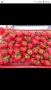 продавам разсад ягоди, снимка 4