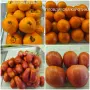 Семена от стари селски сортове домати,краставици и други, снимка 12