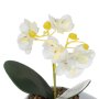 Саксия с камъчета и орхидея, 12x10x18см, снимка 2