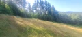 Продава се земя в Родопите, снимка 3