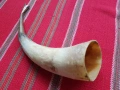 Рог чаша, снимка 2