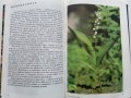 Албум за растения и животни - Н.Боев,С.Петров,П.Кръстев - 1976г., снимка 4