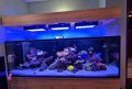 Изработвам соленоводни аквариуми по желание и размер на клиента , снимка 10