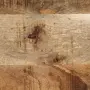 vidaXLS Закачалка за дрехи 80x40x190 cm Масивна груба дървесина Манго, снимка 9