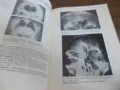 Книга..........., снимка 4