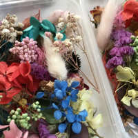Микс сухи цветя в кутия за декорация натурални сапун сапуни свещи свещ бижу бижута смола аранжиране, снимка 5 - Изкуствени цветя - 36331627