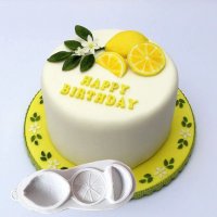 Лимон парче резен силиконов молд форма фондан шоколад гипс декор, снимка 7 - Форми - 32691184
