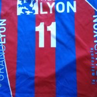 Asul Lyon volley France волейболна тениска Errea #11 Алекс Николов 2015 г. размер С реален, снимка 3 - Волейбол - 42026645