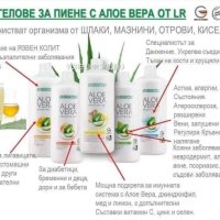 Алое Вера гел за пиена- LR, ALOE VERA, снимка 2 - Хранителни добавки - 44247356