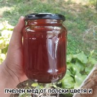 Пчелен мед и прашец реколта 2023г., снимка 7 - Пчелни продукти - 41880994