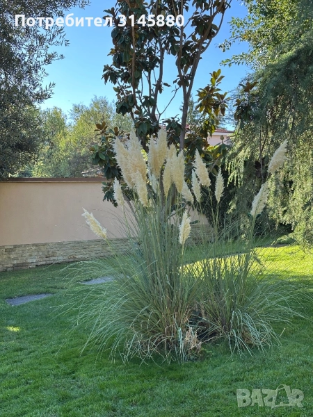 Градинарски услуги , снимка 1