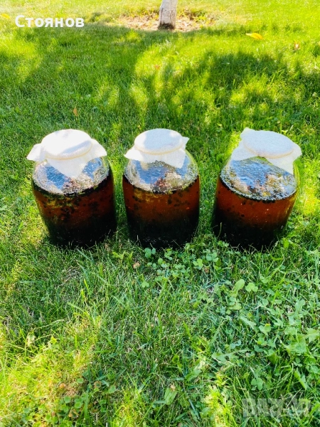 Сироп черен бъз с мед, бъзак с мед, снимка 1