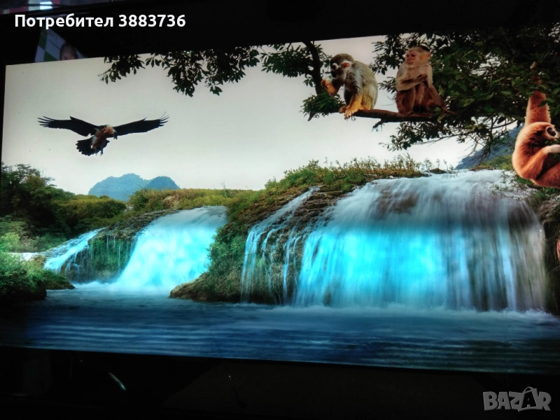 Светеща картина със звук водопад и птици, снимка 1