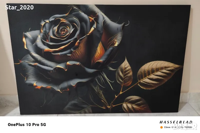 Светеща картина с LED осветление - черна роза , снимка 1