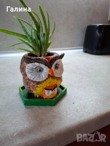 Декоративна саксиийка с Алое, снимка 2 - Стайни растения - 51657832