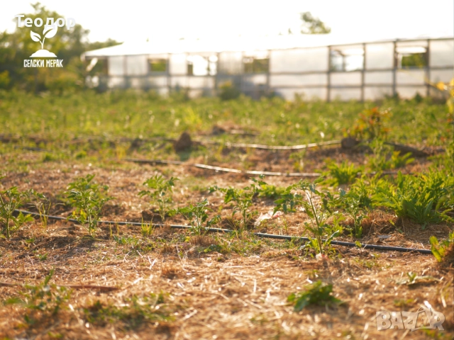 Самосвал дървесен чипс за мулчиране и почвено подхранване, снимка 3 - Тор и почвени смеси - 52252656