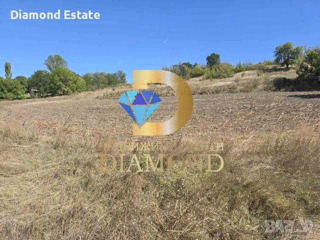 Къща с голям двор в село Долно Белево, общ. Димитровград, снимка 3 - Къщи - 51792558