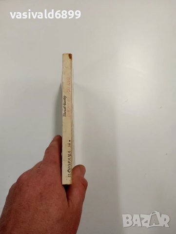 Гюстав Флобер - Писма до Луиз Коле , снимка 2 - Художествена литература - 49125176