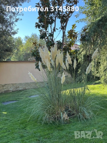 Градинарски услуги 