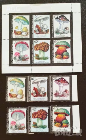 Серия "Отровни гъби" 1991 година