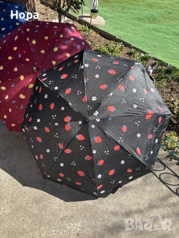 Сгъваеми чадъри с лимони и ягоди , снимка 7 - Други - 53750480