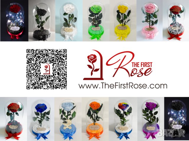 Подарък за Годишнина / Естествена Вечна Роза в Голяма Стъкленица / Оригинален Подарък за Жена, снимка 14 - Други - 34470749