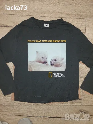 Четири блузки Zara, снимка 2 - Детски Блузи и туники - 47322802