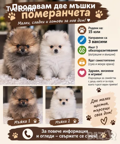 померани със ваксина и паспорти