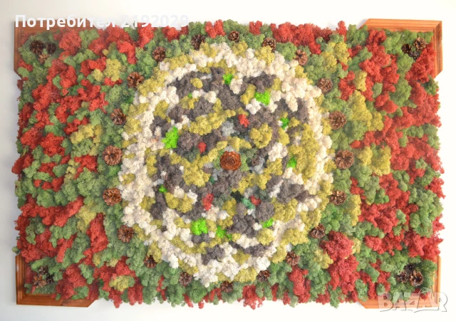 ПАНО със СКАНДИНАВСКИ МЪХ, снимка 4 - Пана - 51338306