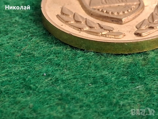 Български Медал За Заслуги към Плевен, снимка 5 - Антикварни и старинни предмети - 52516116